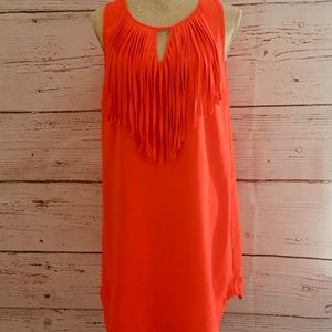 Sleeveless Fringe Dress